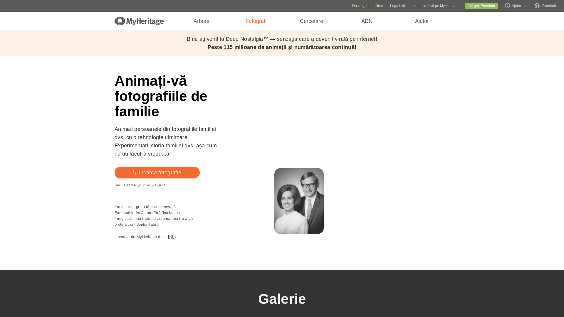 MyHeritage